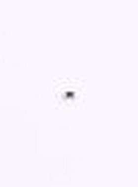 CRCW040249R9FKEDHP 贴片电阻 厚膜电阻 49.9Ω ±1% 200mW 0402