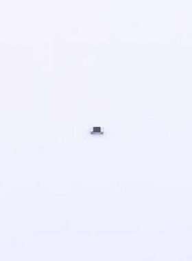 RE0402BRE07301KL 贴片电阻 厚膜电阻 301kΩ ±0.1% 62.5mW 0402