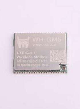 WH-GM5 2G/3G/4G/5G模块 提供 LCC/LGA 混合连接方式模块