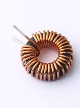 XR080125T101MV1L 色环/插件电感 100uH ±10% 磁环电感 插件,D=2