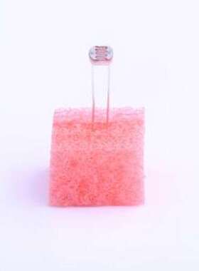 GL5537-1 光敏电阻 亮电阻:20kΩ~30kΩ 暗电阻:2MΩ 插件,P=3mm