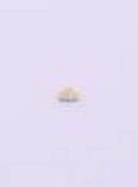 19-21/GHC-YR1S2/4T 发光二极管/LED 19-21/GHC-YR1S2/4T 0603