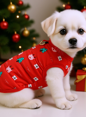 狗狗新年衣服红色喜庆宠物秋季棉服小型犬外套泰迪比熊宠物猫冬装