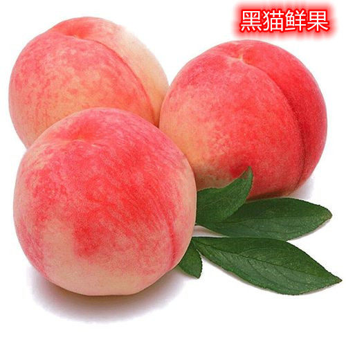 正宗陕西礼泉水蜜桃现摘当季新鲜现摘现发多汁适合孕妇水果十斤