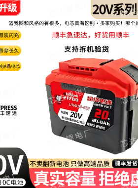 适用东成20V机型21700锂电池长续航电动工具电锯电锤电钻10C动力
