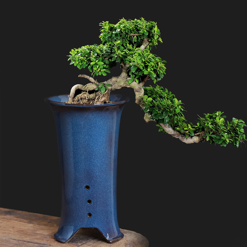 紫砂花瓶陶瓷上釉悬崖式盆景盆多肉悬崖桩高筒兰花君子兰蝴蝶兰盆