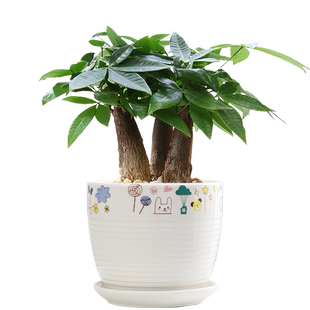 花盆陶瓷北欧简约卡通托盘绿萝绿植吊兰创意特价清仓大号特大花盆