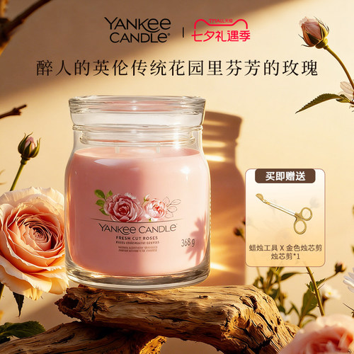 Yankee Candle杨基香薰蜡烛持久天然家居香氛照明装饰送礼物368g