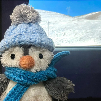 11/23cm花生企鹅帽子围巾Jellycat趣味花生手工钩织头套包包衣服