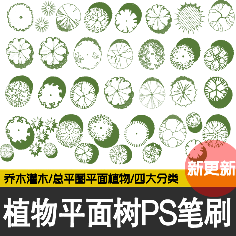 园林景观手绘风乔木灌木树木彩色平面图灰色黑白彩平图植物ps笔刷