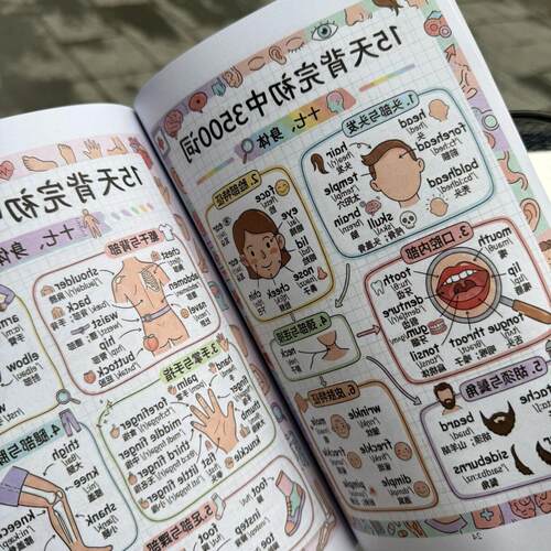 15天背完初中3500词英语