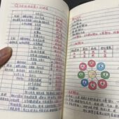 中医诊断笔记本手绘自学入门基础理论医师传承A5大本笔记本