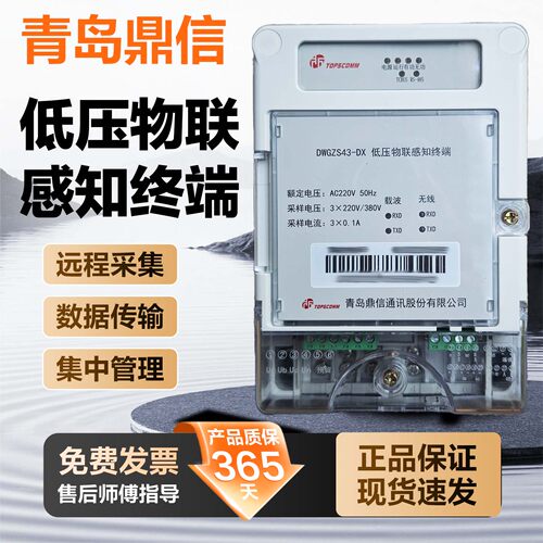 岛鼎信DWGZS43-DX单相物联终端
