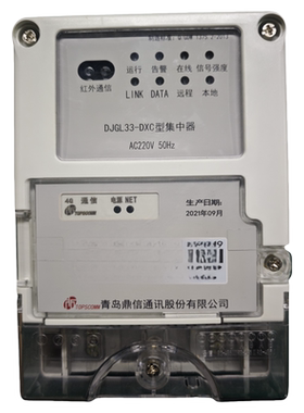 青岛鼎信DJGL33-DXC型 4G远程集中器 国家电网 220V