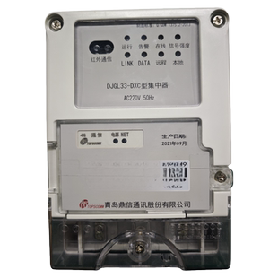 青岛鼎信DJGL33-DXC型 4G远程集中器 国家电网 220V