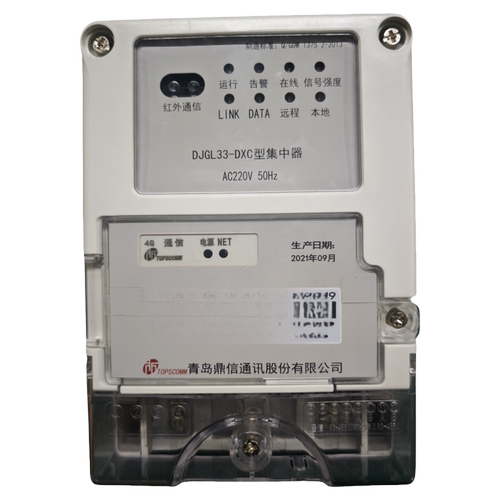 青岛鼎信DJGL33-DXC型 4G远程集中器 国家电网 220V
