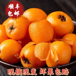 【顺丰包邮】米易枇杷露天早春枇杷香甜多汁皮薄肉厚核小不催熟