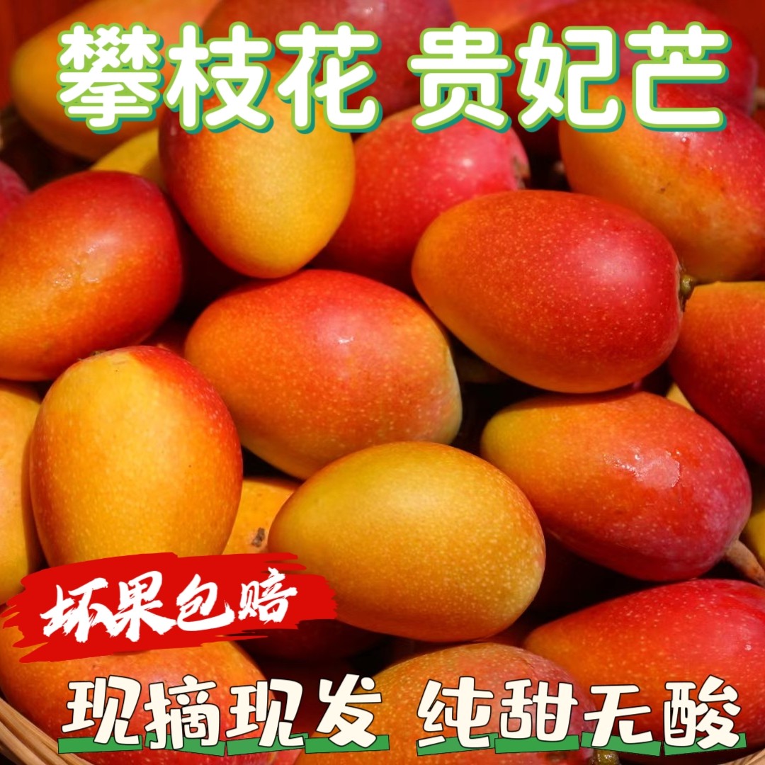 正宗四川高山贵妃芒手指芒新鲜水果当季现摘现发孕妇水果纯甜无酸