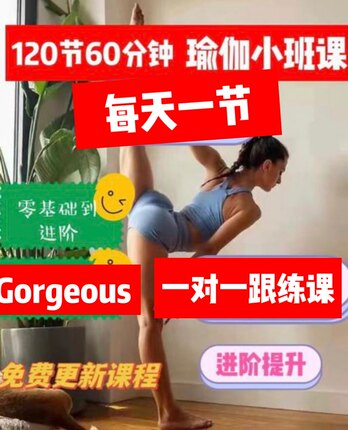25年瑜伽视频跟练课130节精品课60分钟自学课程塑形减脂完结