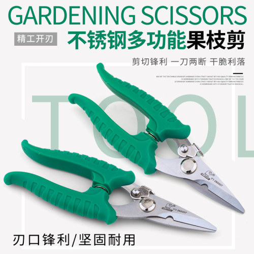 鹰头园艺剪刀果树多功能家用省力