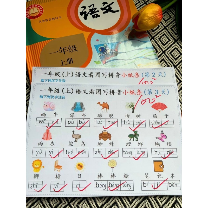 小学一年级上册语文看图写拼音注音每日小纸条基础知识同步练习