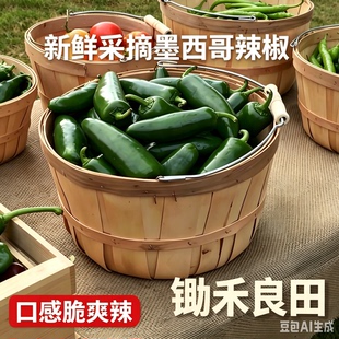 墨西哥辣椒新鲜港椒特辣Jalapeno青椒农家种植脆嫩油焖椒西餐食材