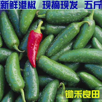jalapeno pepper新鲜港椒墨西哥辣椒腌制泡椒特辣青椒5斤墨椒胡椒
