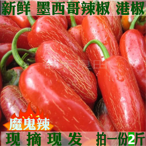 新鲜红辣椒 新鲜港椒 帕瓦纳墨西哥辣椒魔鬼椒微辣 哈雷派尼奥5斤