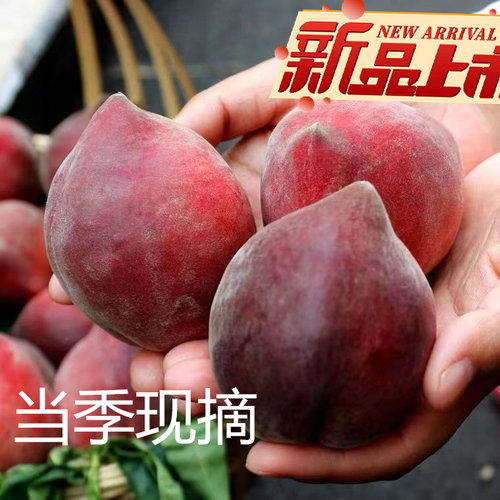 水蜜桃红宝石云南桃子