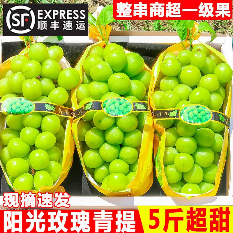 云南阳光玫瑰葡萄新鲜5斤无籽青提晴王提子当季水果整箱香印包邮属于什么档次？