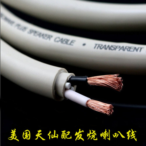 天仙配发烧级喇叭线中置线