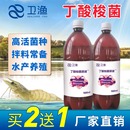 丁酸梭菌水产养殖对虾蟹鱼用高浓缩丁酸梭菌原液内服拌料宝益生菌