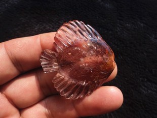 晶山角商城天然钛晶金发晶小鱼吊坠 高44×44×10mm19g