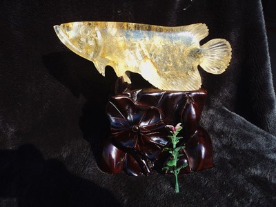 晶山角商城雕刻金龙鱼招财摆件