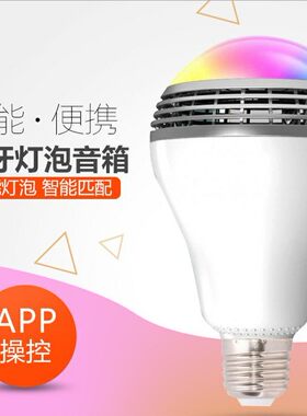 彩灯蓝牙七彩灯音乐律动