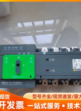 施耐德双电源转换开关WATSG250/4AVG