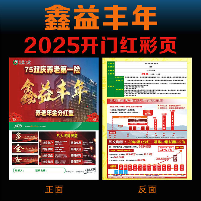 中国人寿保险国寿2025年开门红鑫益丰年彩页宣传单DM单广告海报