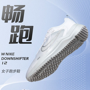 Nike耐克运动鞋女鞋官网旗舰店2024夏季网面透气跑步鞋DD9294-100