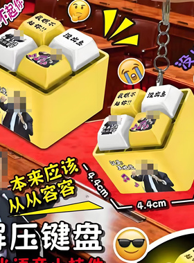 没出息王世坚从从容容按键挂件钥匙扣超解压发光语音创意搞怪玩具