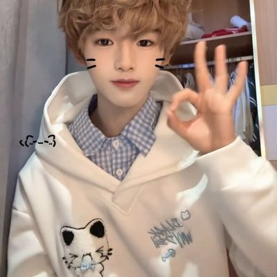 可爱猫咪刺绣假两件连帽卫衣女春秋设计感格子拼接闺蜜装宽松外套