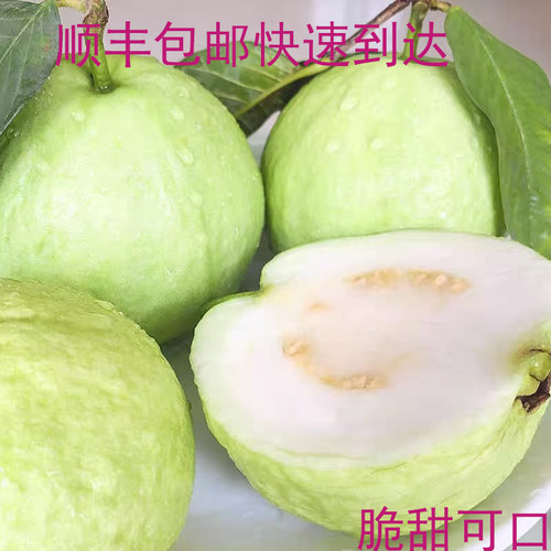 脆甜可口香甜吧配椒盐百吃不厌