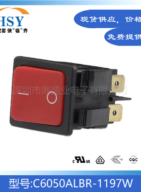 C6050ALBR-1197W 4脚2档25x30/20A250V摇臂按钮翘板船型开关按键