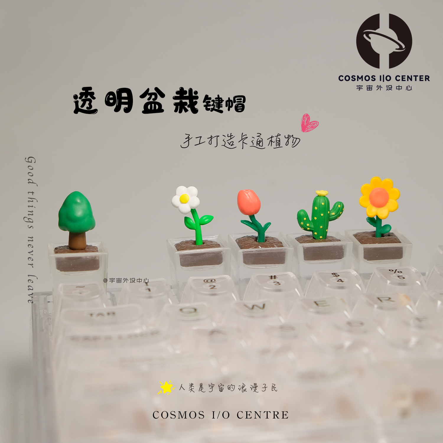 创意透明定制郁金香青松可爱键帽