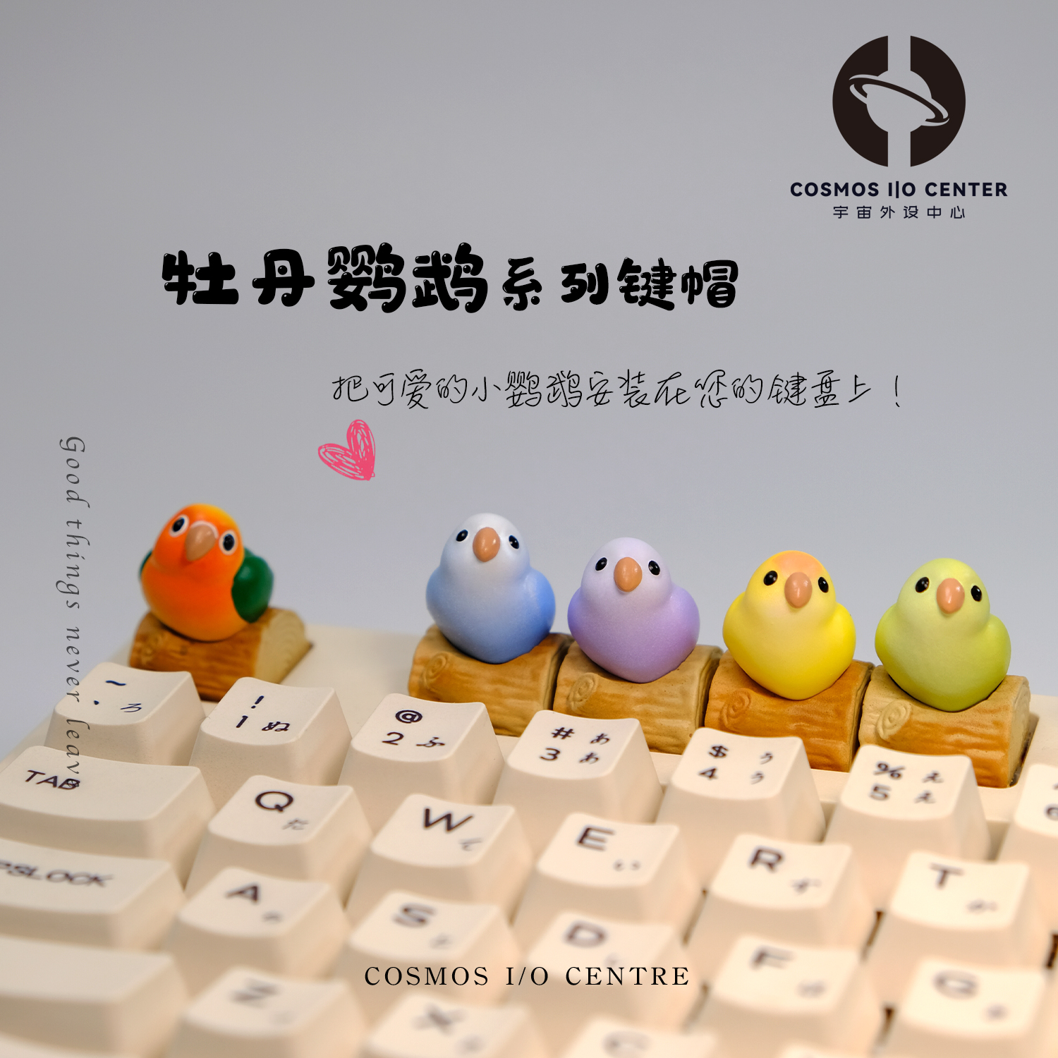 缤纷牡丹木墩鹦鹉鸟手工立体键帽