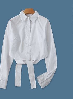 时尚系带衬衫  春秋新款女修身翻领单排扣长袖短款露腰衬衫27964