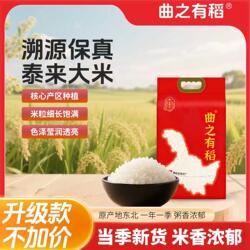 2025优质新米真空包装10斤东北泰来大米长粒香米自产自销现磨现发