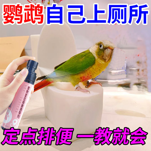 鹦鹉定点排便神器专用定位上厕所