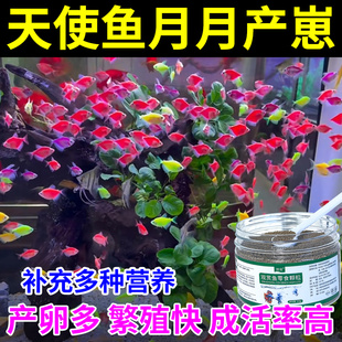 天使鱼饲料专用促繁殖下崽鱼食爆满缸七彩鱼孔雀鱼增色小型鱼粮