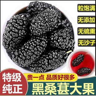 特级黑桑葚干大果500g克中药材免洗泡茶水无硫熏无沙泡酒正品 即食