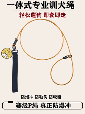 狗链P绳训犬狗脖圈可调节p链遛狗